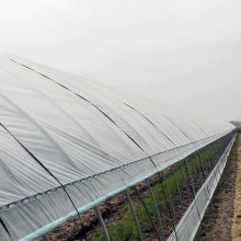 薄膜蔬菜大棚 昱泰溫室一站式服務的創新與實踐